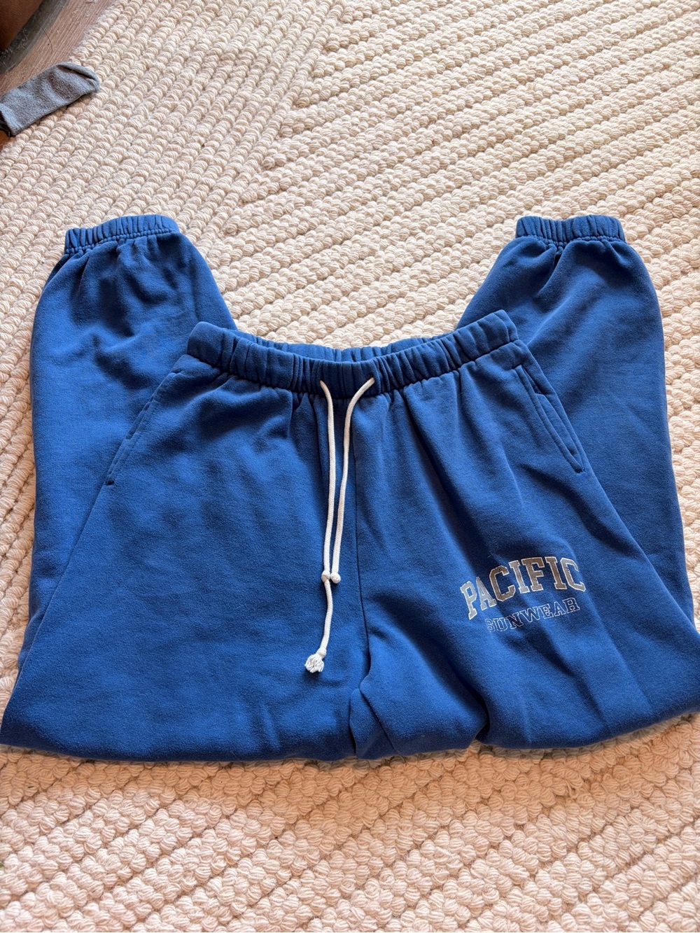 Blue pacsun sweats